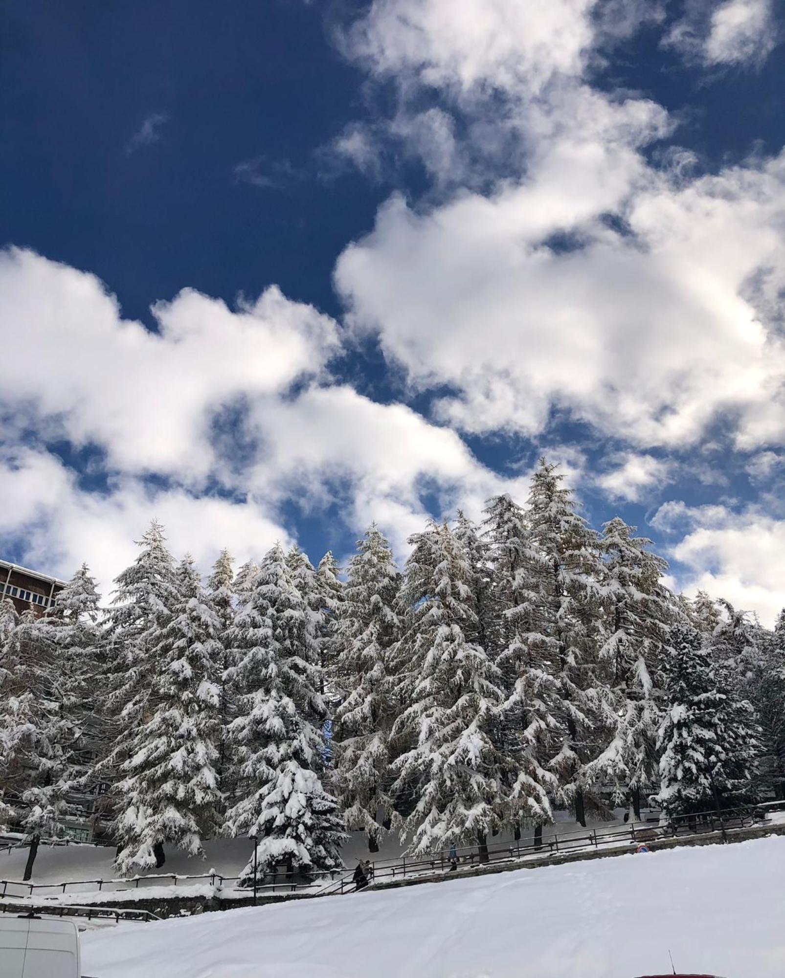 Cervinia - Matterhorn Apartments Breuil-Cervinia Ngoại thất bức ảnh